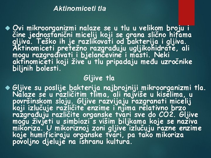 Aktinomiceti tla Ovi mikroorganizmi nalaze se u tlu u velikom broju i čine jednostanični
