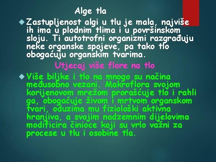 Alge tla Zastupljenost algi u tlu je mala, najviše ih ima u plodnim tlima