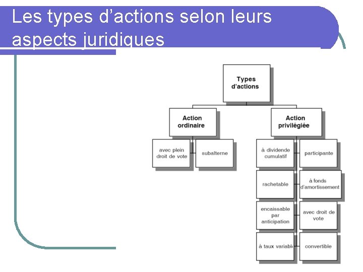 Les types d’actions selon leurs aspects juridiques 