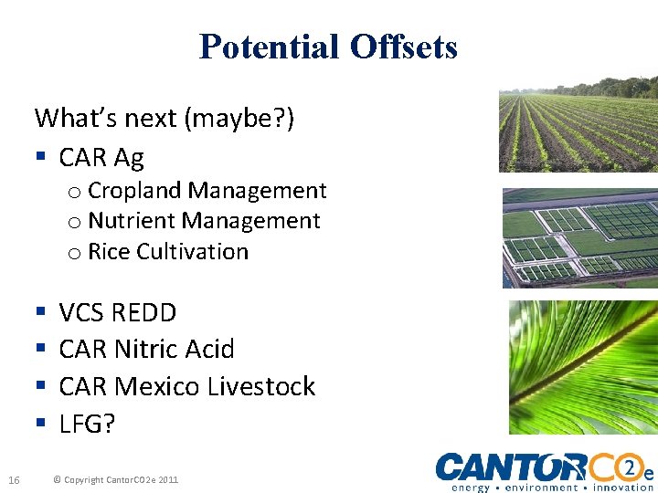 Potential Offsets What’s next (maybe? ) § CAR Ag o Cropland Management o Nutrient