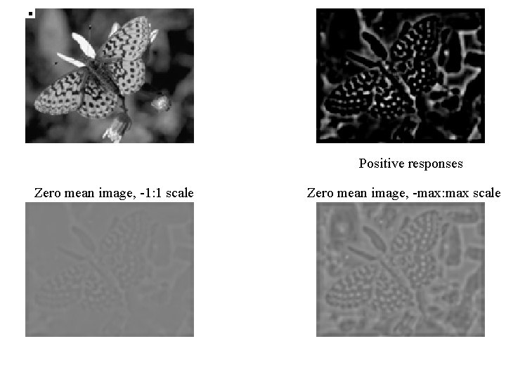 Positive responses Zero mean image, -1: 1 scale Zero mean image, -max: max scale