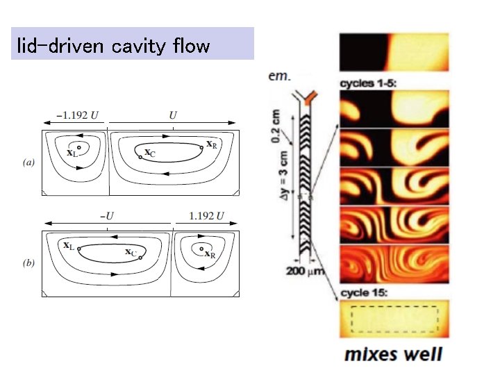 lid-driven cavity flow 