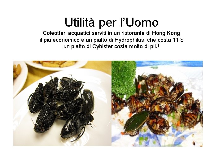 Utilità per l’Uomo Coleotteri acquatici serviti in un ristorante di Hong Kong il più