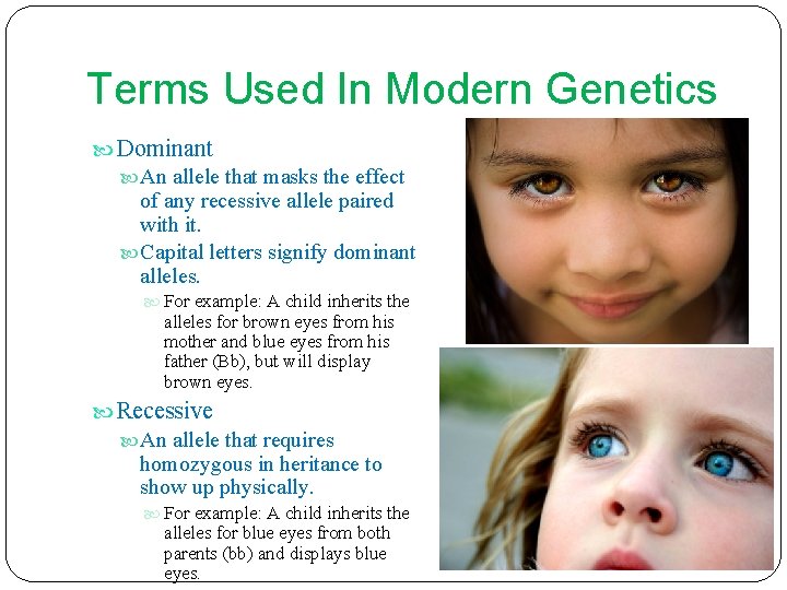 Terms Used In Modern Genetics Dominant An allele that masks the effect of any