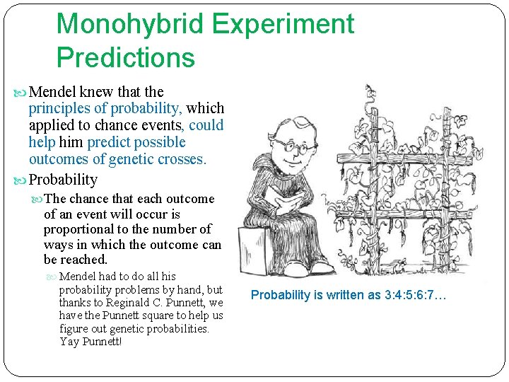 Monohybrid Experiment Predictions Mendel knew that the principles of probability, which applied to chance