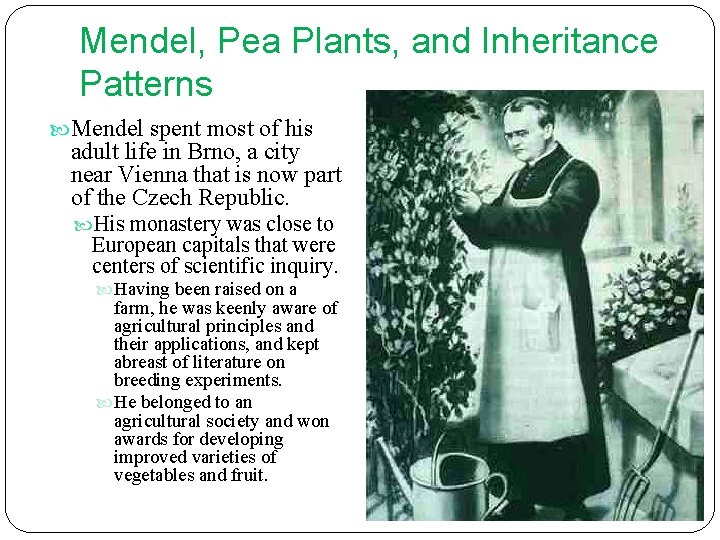 Mendel, Pea Plants, and Inheritance Patterns Mendel spent most of his adult life in