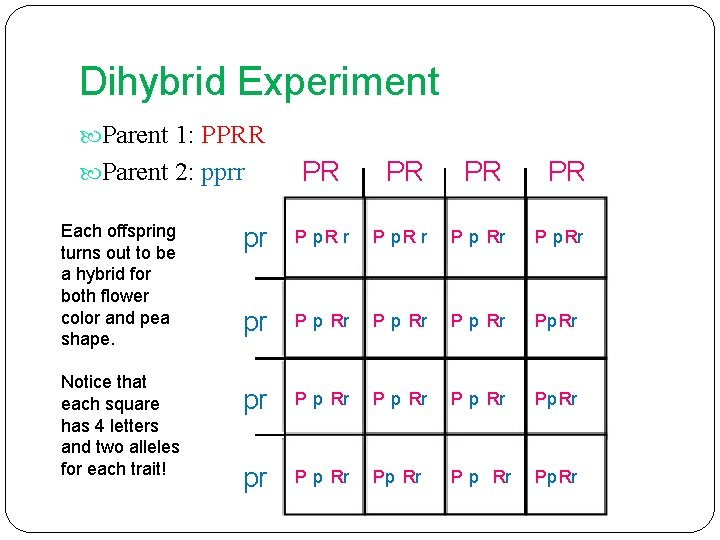 Dihybrid Experiment Parent 1: PPRR PR PR pr P p. R r P p