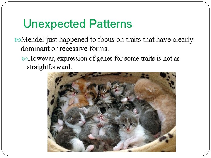 Unexpected Patterns Mendel just happened to focus on traits that have clearly dominant or