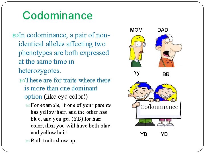 Codominance In codominance, a pair of non- identical alleles affecting two phenotypes are both