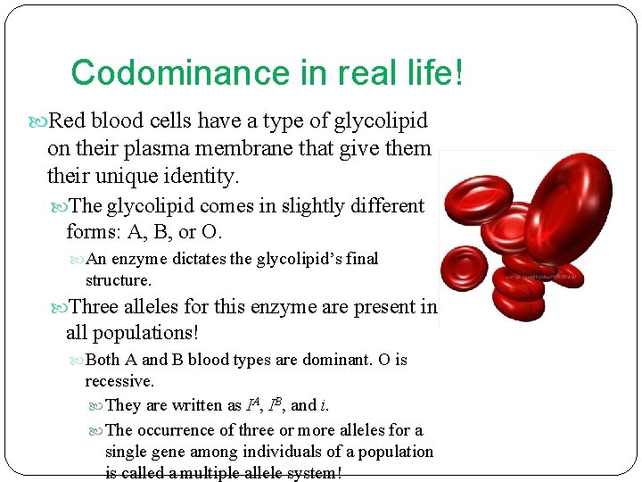 Codominance in real life! Red blood cells have a type of glycolipid on their