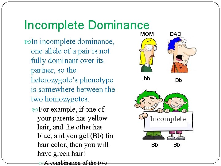 Incomplete Dominance In incomplete dominance, one allele of a pair is not fully dominant