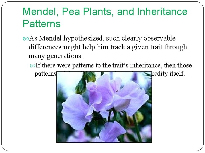 Mendel, Pea Plants, and Inheritance Patterns As Mendel hypothesized, such clearly observable differences might