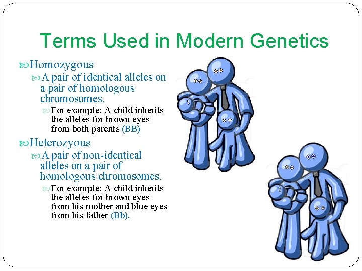 Terms Used in Modern Genetics Homozygous A pair of identical alleles on a pair