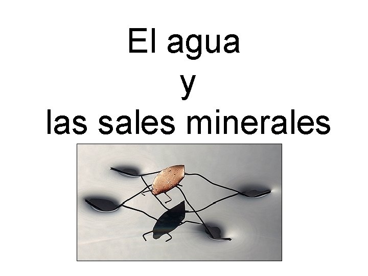 El agua y las sales minerales 