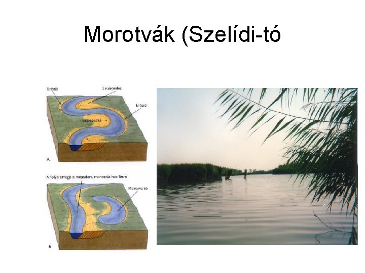 Morotvák (Szelídi-tó 