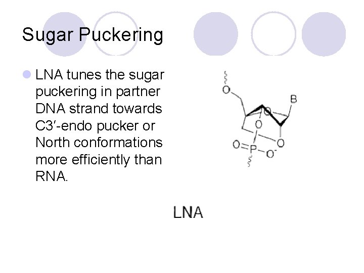 Sugar Puckering l LNA tunes the sugar puckering in partner DNA strand towards C