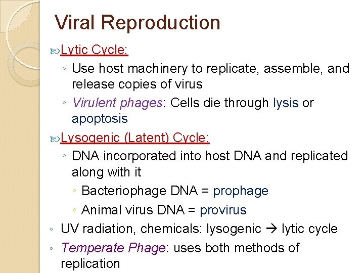 Viral Reproduction Lytic Cycle: ◦ Use host machinery to replicate, assemble, and release copies