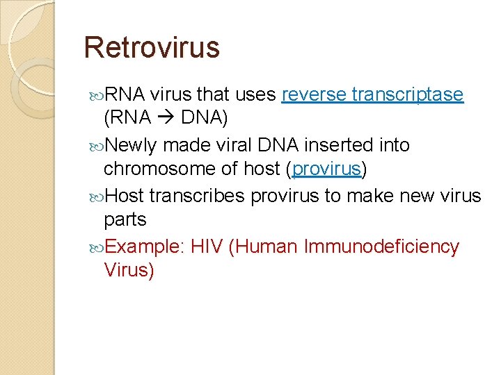 Retrovirus RNA virus that uses reverse transcriptase (RNA DNA) Newly made viral DNA inserted