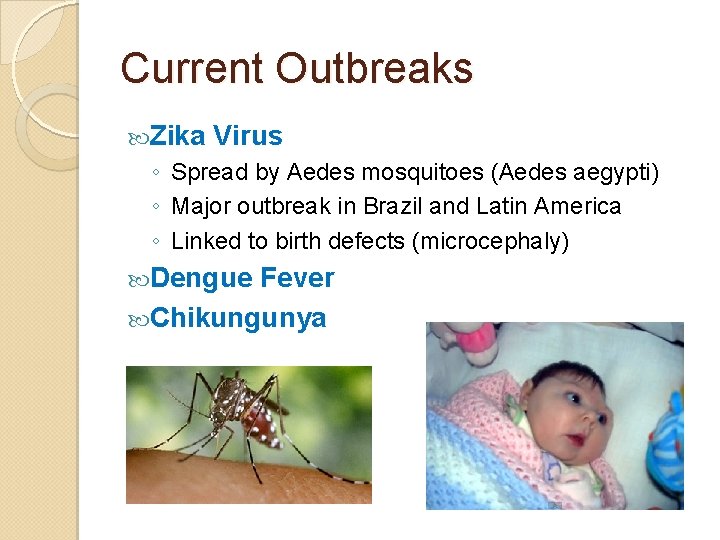 Current Outbreaks Zika Virus ◦ Spread by Aedes mosquitoes (Aedes aegypti) ◦ Major outbreak