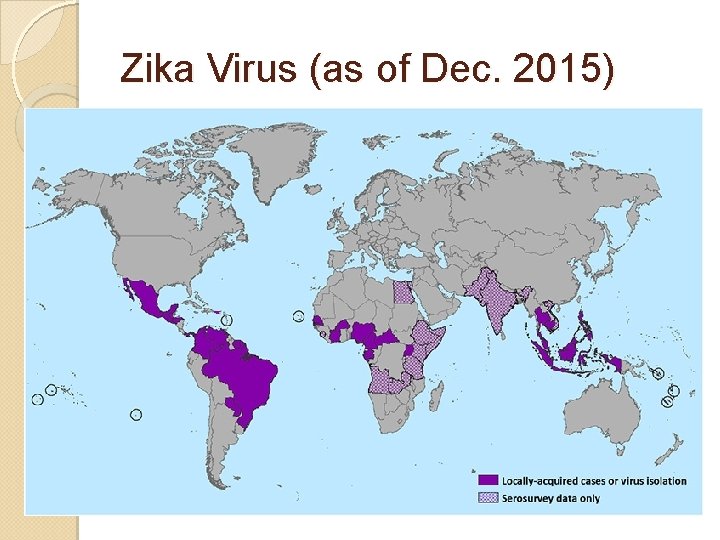 Zika Virus (as of Dec. 2015) 