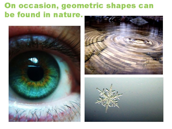 On occasion, geometric shapes can be found in nature. 