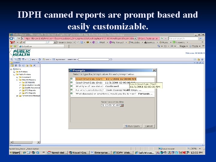 IDPH canned reports are prompt based and easily customizable. 