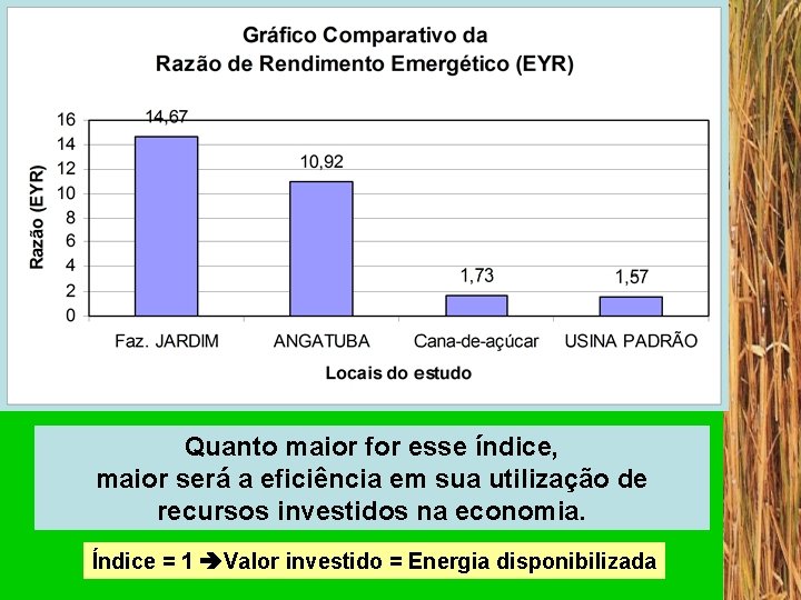 Quanto maior for esse índice, maior será a eficiência em sua utilização de recursos