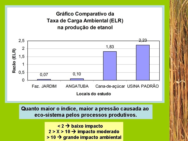 Quanto maior o índice, maior a pressão causada ao eco-sistema pelos processos produtivos. <