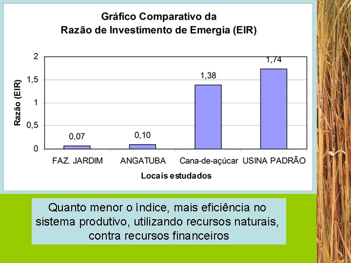 Quanto menor o índice, mais eficiência no sistema produtivo, utilizando recursos naturais, contra recursos