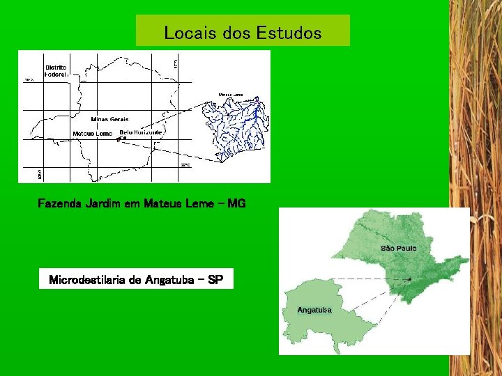 Locais dos Estudos Fazenda Jardim em Mateus Leme - MG Microdestilaria de Angatuba -