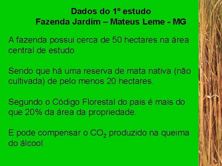 Dados do 1º estudo Fazenda Jardim – Mateus Leme - MG A fazenda possui