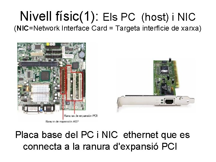 Nivell físic(1): Els PC (host) i NIC (NIC=Network Interface Card = Targeta interfície de