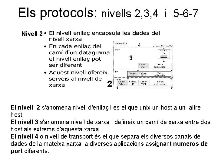 Els protocols: nivells 2, 3, 4 i 5 -6 -7 Nivell 2 4 3