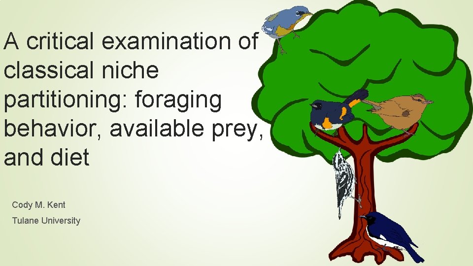 A critical examination of classical niche partitioning: foraging behavior, available prey, and diet Cody A critical examination of classical niche partitioning: foraging behavior, available prey, and diet Cody
