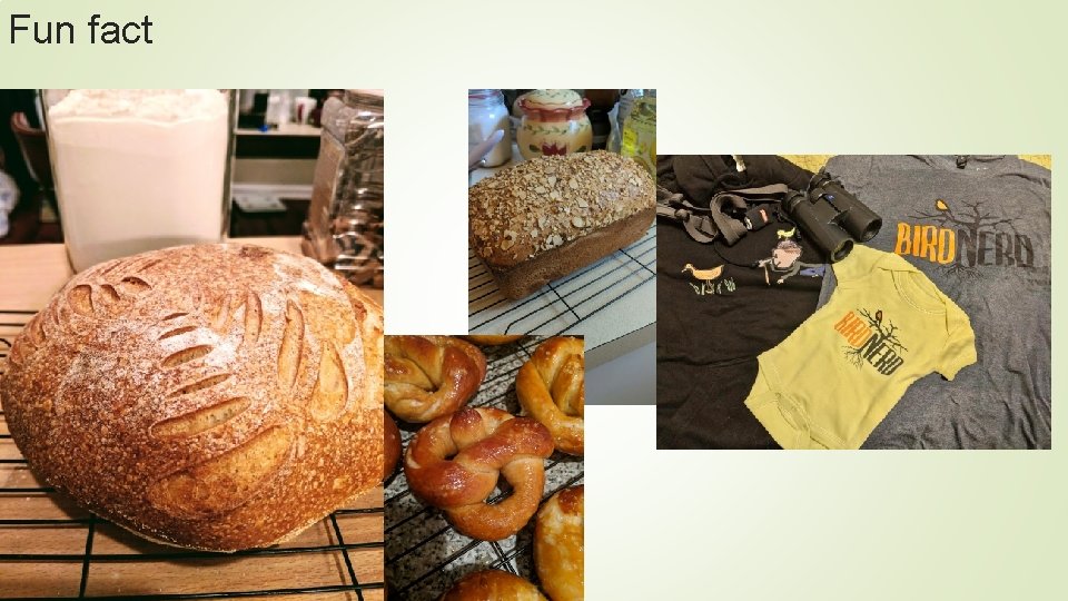 Fun fact Fun fact