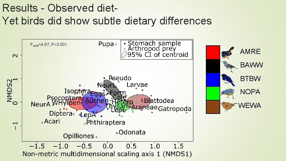 Results - Observed diet. Yet birds did show subtle dietary differences F 4, 70=4. Results - Observed diet. Yet birds did show subtle dietary differences F 4, 70=4.