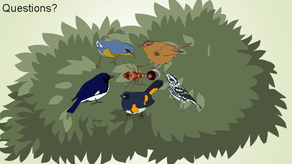 Questions? Questions?