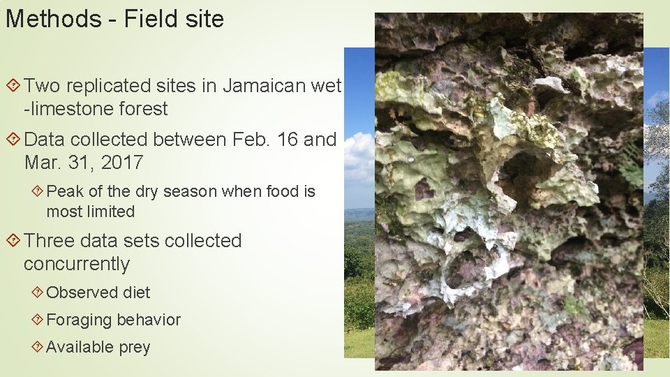 Methods - Field site Two replicated sites in Jamaican wet -limestone forest Data collected Methods - Field site Two replicated sites in Jamaican wet -limestone forest Data collected
