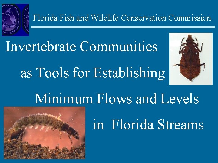 Florida Fish and Wildlife Conservation Commission Invertebrate Communities as Tools for Establishing Minimum Flows