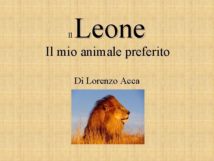 Il Leone Il mio animale preferito Di Lorenzo Acca 