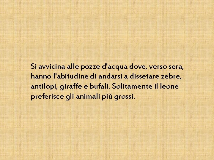 Si avvicina alle pozze d'acqua dove, verso sera, hanno l'abitudine di andarsi a dissetare