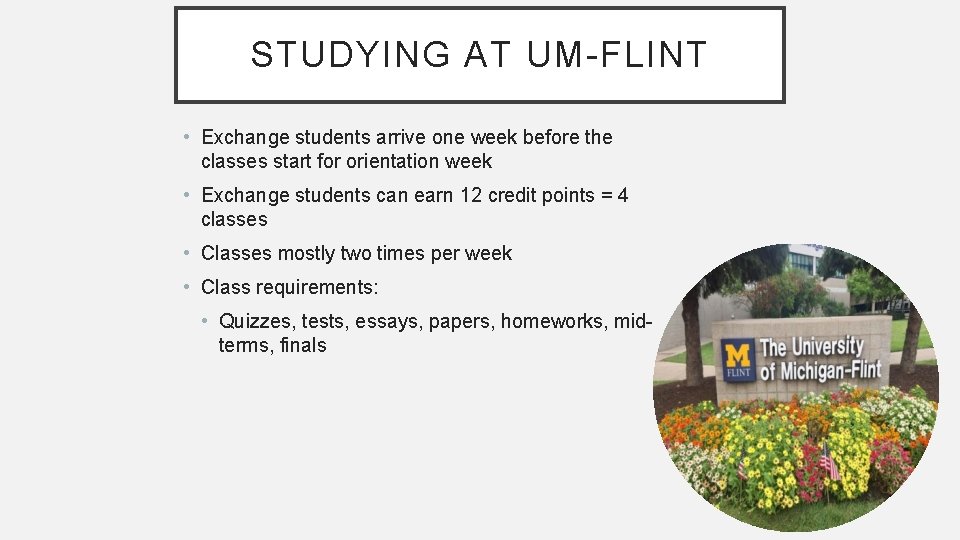 STUDYING AT UM-FLINT • Exchange students arrive one week before the classes start for