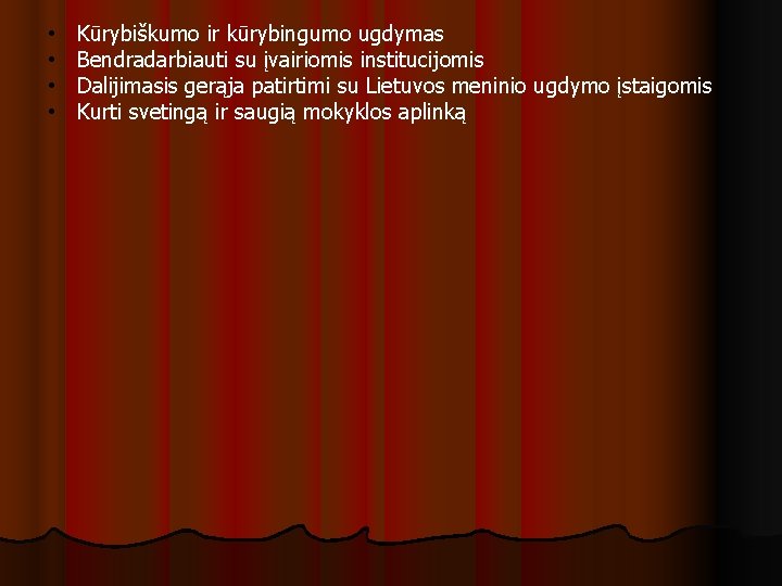  • • Kūrybiškumo ir kūrybingumo ugdymas Bendradarbiauti su įvairiomis institucijomis Dalijimasis gerąja patirtimi