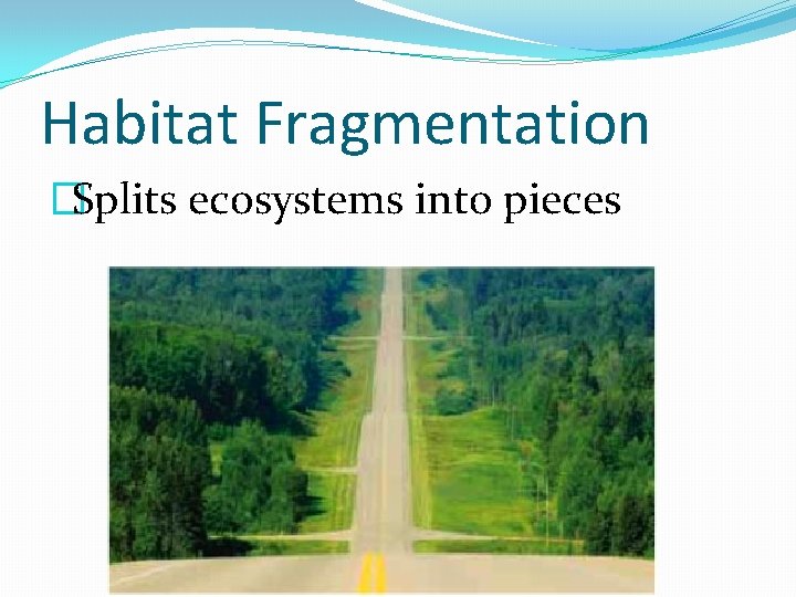 Habitat Fragmentation �Splits ecosystems into pieces 