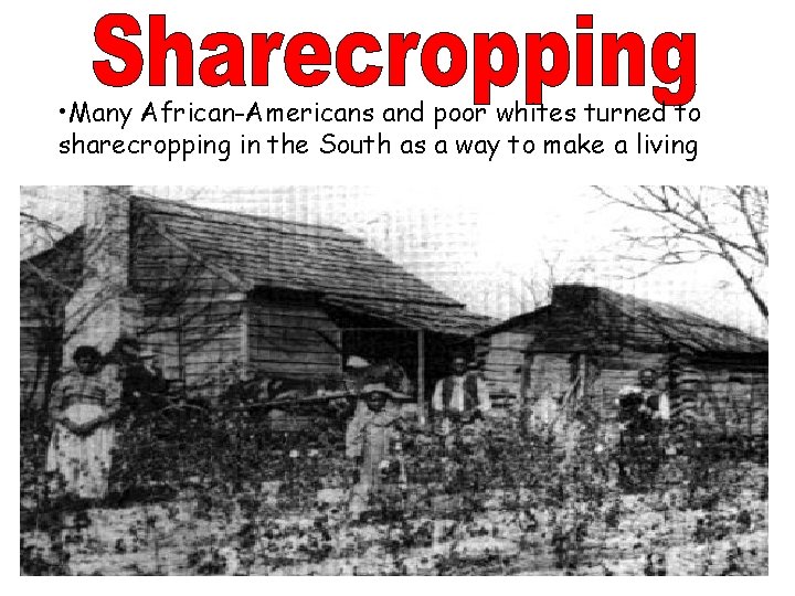  • Many African-Americans and poor whites turned to sharecropping in the South as