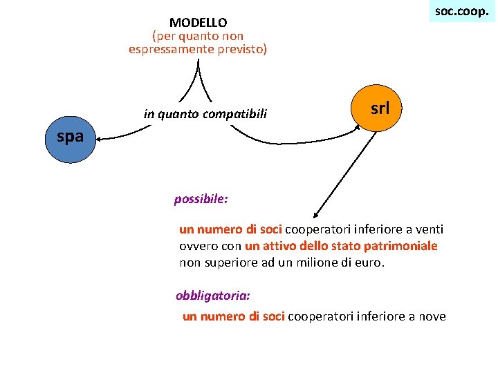 soc. coop. MODELLO (per quanto non espressamente previsto) in quanto compatibili srl spa possibile: