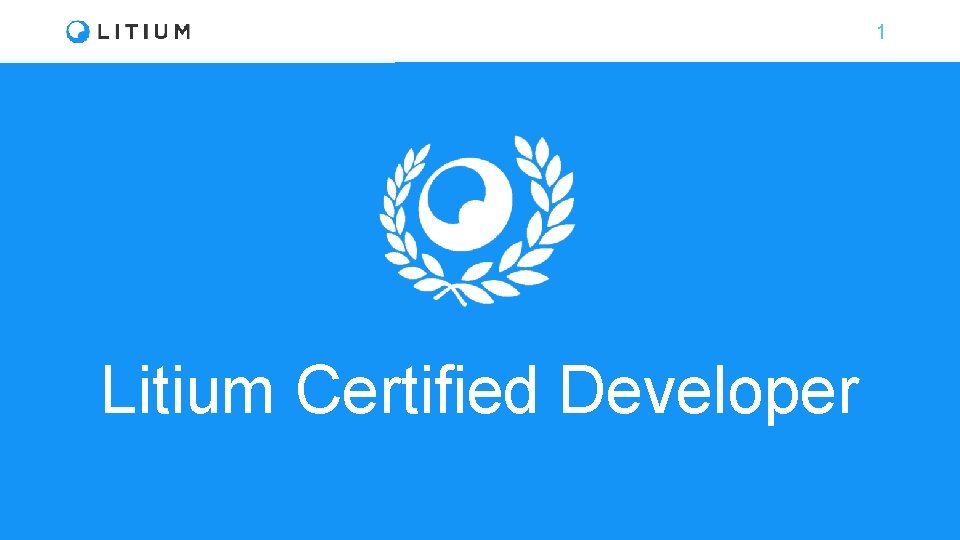1 Litium Certified Developer 