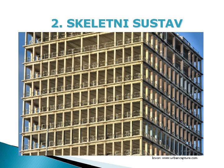 2. SKELETNI SUSTAV Izvor: www. urbancapture. com 