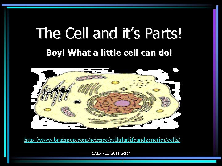 The Cell and it’s Parts! Boy! What a little cell can do! http: //www.