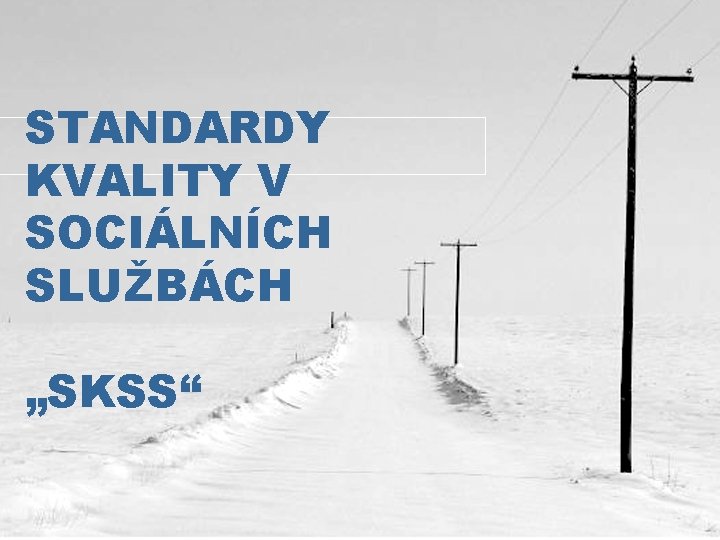 STANDARDY KVALITY V SOCIÁLNÍCH SLUŽBÁCH „SKSS“ 
